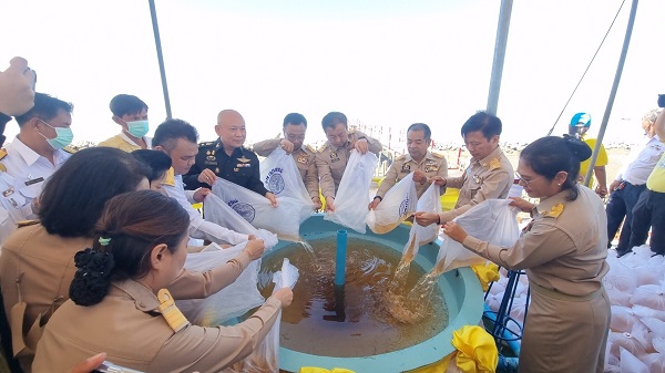 สมุทรสาคร จัดพิธีปล่อยพันธุ์กุ้งกุลาดำ 1 ล้านตัว เนื่องในโอกาสวันเฉลิมพระชนมพรรษาพระบาทสมเด็จพระเจ้าอยู่หัวฯ