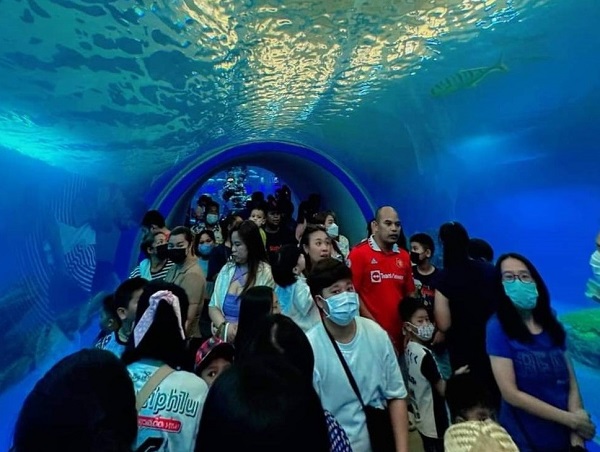 นักท่องเที่ยวแห่เข้าชม Samut Sakhon Aquarium อย่างคึกคัก หลังเพิ่งเปิดเมื่อ 15 ก.ย. ที่ผ่านมา